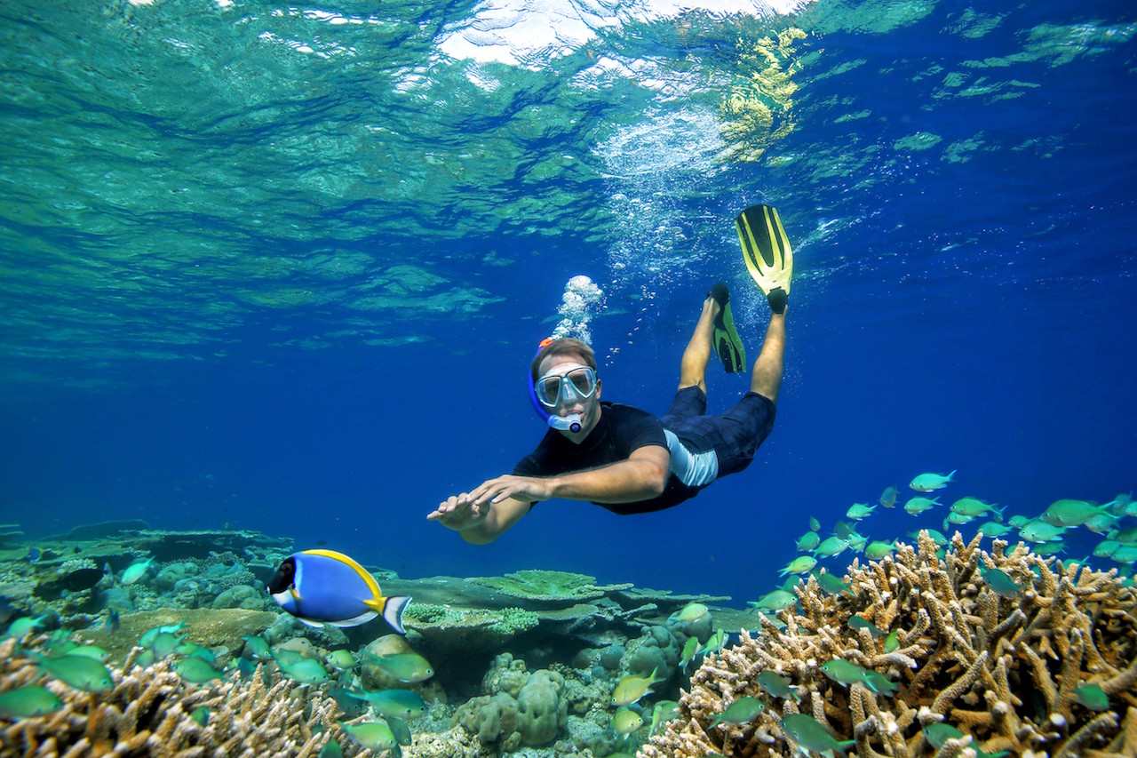 Schildkröten-Ausflug Abu Dabbab – Schnorcheltour mit Schwimmen mit Schildkröten und Seekuh