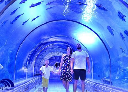 Der faszinierende Ausflug zum Grand Aquarium Hurghada – Ein unvergessliches Erlebnis mit Famco Tours
