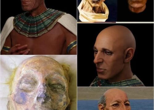 „Das Gesicht des Pharaos kehrt zurück – 3300 Jahre nach dem Tod von Ramesses II enthüllt moderne 3D-Technologie sein wahres Aussehen“