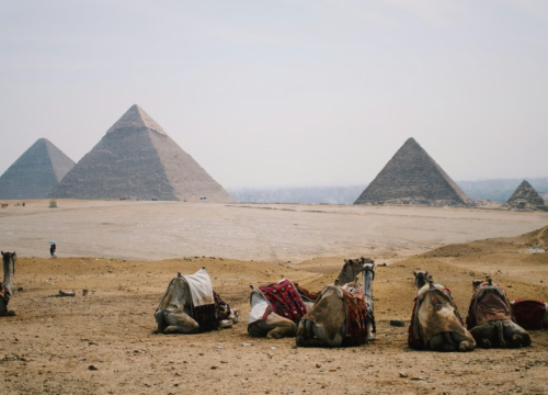 Erlebnisse, die es nur in Ägypten gibt