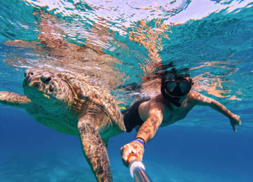 Schnorcheln und Tauchen in Hurghada – Die Unterwasserwelt des Roten Meeres