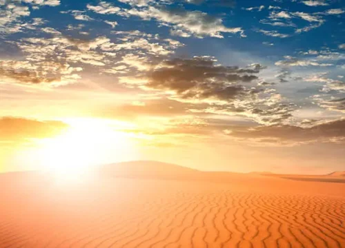 Wüstenerlebnisse – Eine Nacht unter den Sternen der Sahara