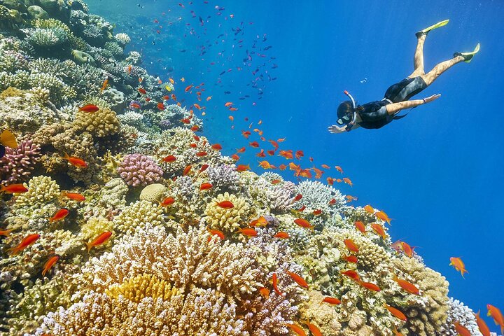 https://media-cdn.tripadvisor.com/media/attractions-splice-spp-720x480/0d/66/14/56.jpg