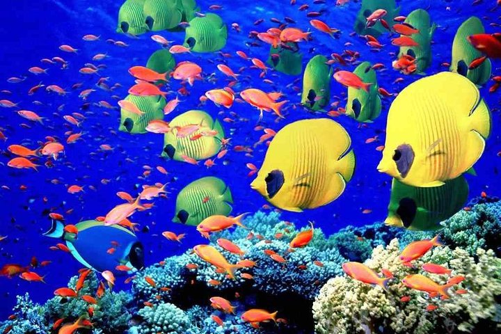 https://media-cdn.tripadvisor.com/media/attractions-splice-spp-720x480/06/fe/b7/34.jpg