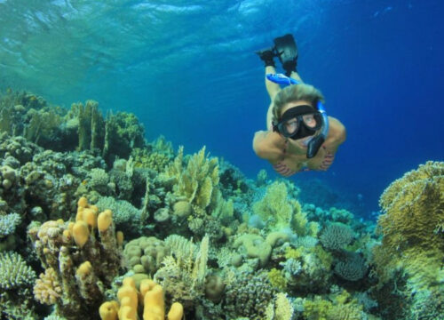Familienurlaub in Marsa Alam: Welche Ausflüge lohnen sich mit Kindern?